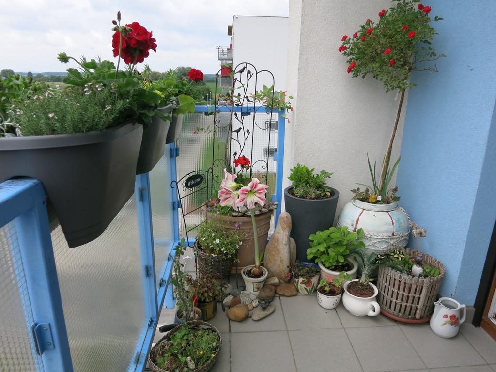 Homestay פודבראדי מראה חיצוני תמונה